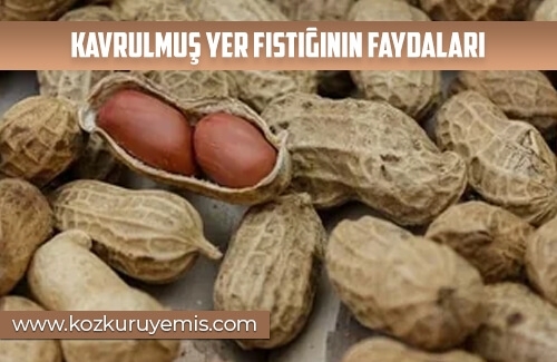 Kavrulmuş Yer Fıstığının Faydaları