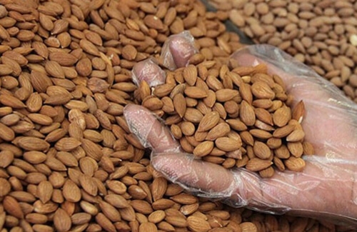 Gün Kurusu Kayısı Çekirdeği Neye İyi Geliyor