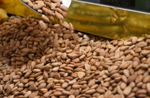 Gün Kurusu Kayısı Çekirdeği Siparişi