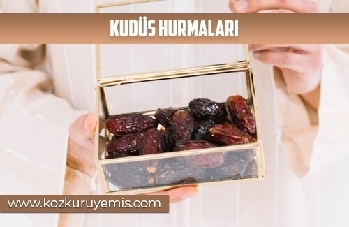 Kudüs Hurmaları