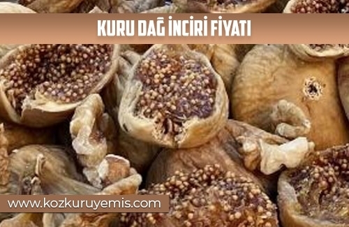 Kuru Dağ İnciri Fiyatı