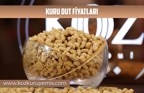 Kuru Dut Fiyatları