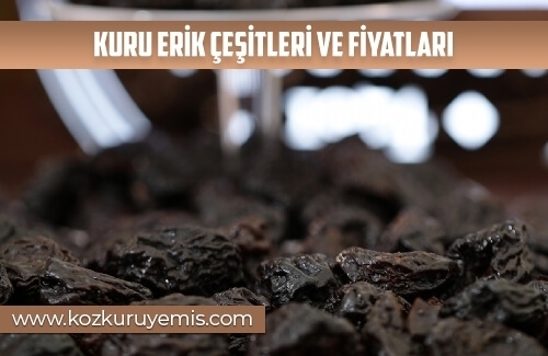 Kuru Erik Çeşitleri ve Fiyatları