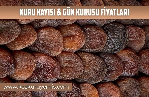 Kuru Kayısı & Gün Kurusu Fiyatları