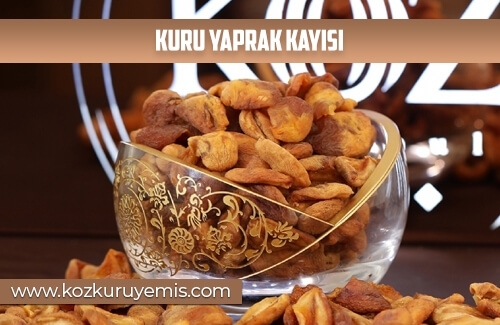 Kuru Yaprak Kayısı