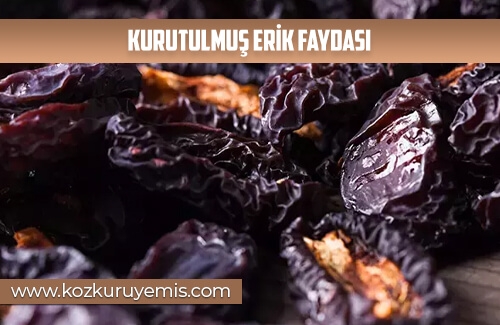 Kurutulmuş Erik Faydası