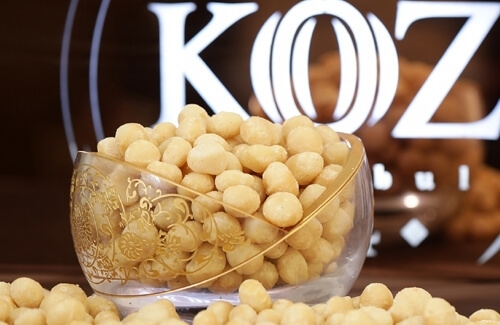 Macadamia Fındığı