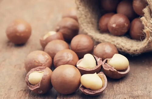 Makademya Fındığı Siparişi