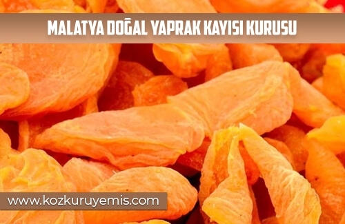 Malatya Doğal Yaprak Kayısı Kurusu