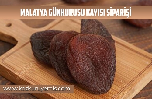 Malatya Günkurusu Kayısı Siparişi