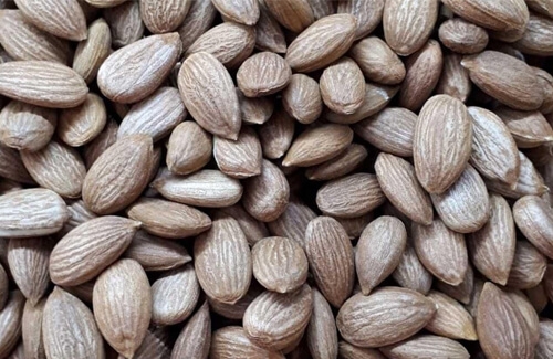 Malatya Gün Kurusu Kayısı Çekirdeği