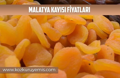 Malatya Kayısı Fiyatları