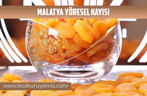 Malatya Yöresel Sarı Kayısı