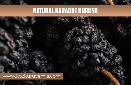 Natural Karadut Kurusu