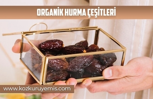 Organik Hurma Çeşitleri