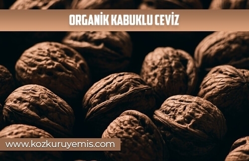 Organik Kabuklu Ceviz