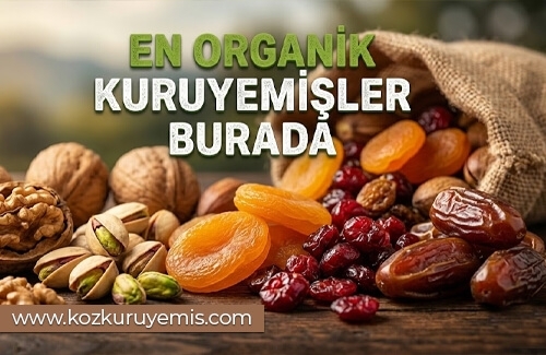 Organik Kuru Meyveler & Kuru Yemişler
