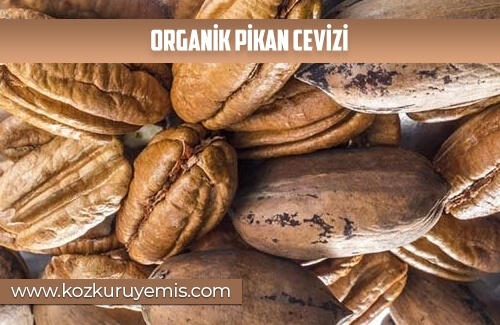 Organik Pikan Cevizi