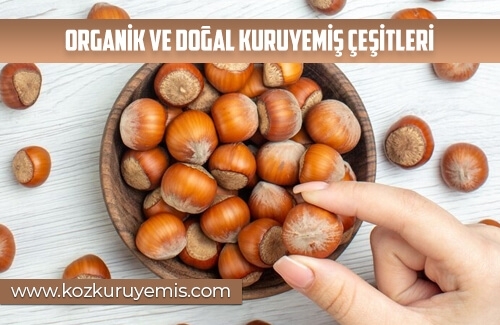 Organik ve Doğal Kuruyemiş Çeşitleri