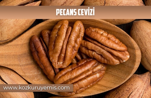 Pecans Cevizi