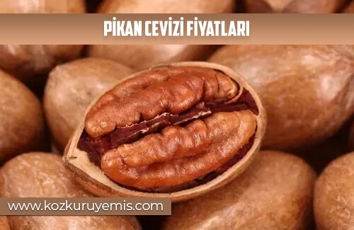 Pikan Cevizi Fiyatları