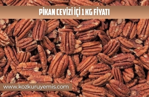 Pikan Cevizi İçi 1 Kg Fiyatı