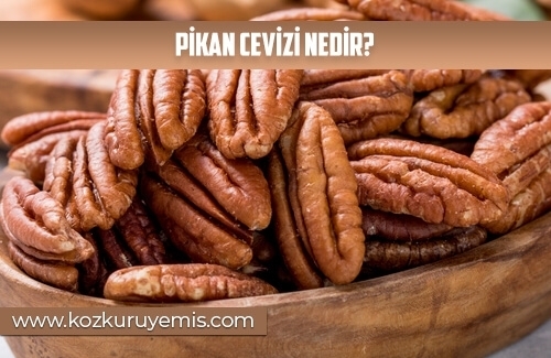 Pikan Cevizi Nedir
