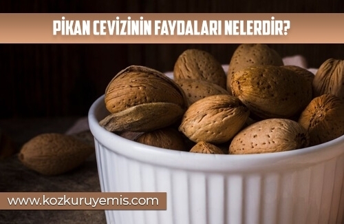 Pikan Cevizinin Faydaları Nelerdir