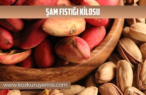 Şam Fıstığı Kilosu