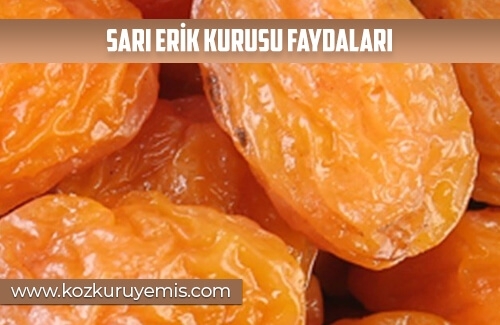 Sarı Erik Kurusu Faydaları