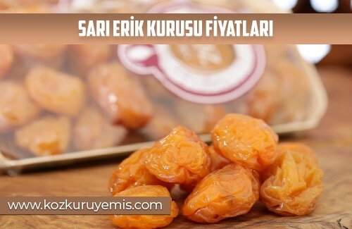 Sarı Erik Kurusu Fiyatları