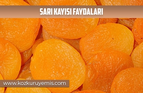 Sarı Kayısı Faydaları