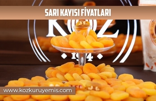 Sarı Kayısı Fiyatları