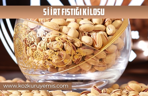 Siirt Fıstığı Kilosu