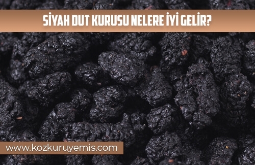 Siyah Dut Kurusu Nelere iyi gelir