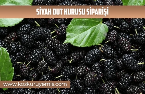 Siyah Dut Kurusu Siparişi