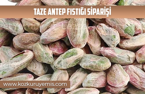 Taze Antep Fıstığı Siparişi