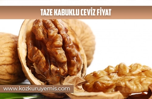 Taze Kabuklu Ceviz Fiyat