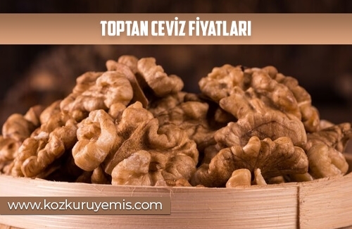 Toptan Ceviz Fiyatları