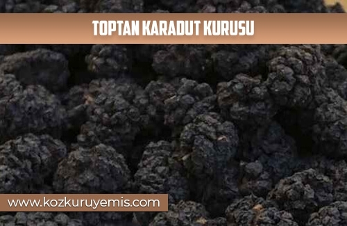 Toptan Karadut Kurusu
