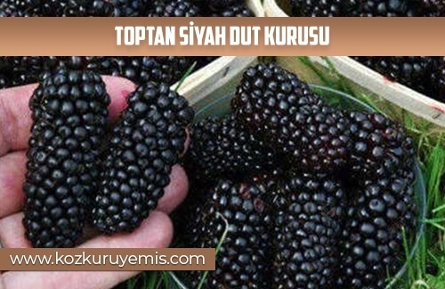 Toptan Siyah dut Kurusu