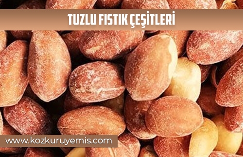 Tuzlu Fıstık Çeşitleri