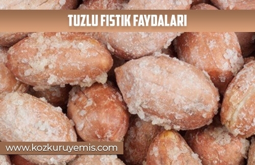Tuzlu Fıstık Faydaları