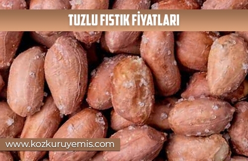 Tuzlu Fıstık Fiyatları