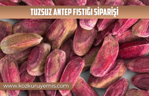 Tuzsuz Antep Fıstığı Siparişi
