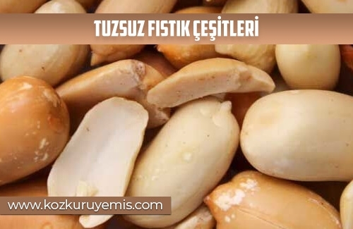 Tuzsuz Fıstık Çeşitleri