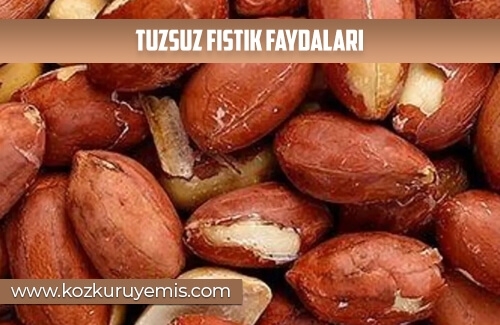 Tuzsuz Fıstık Faydaları