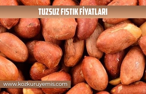 Tuzsuz Fıstık Fiyatları
