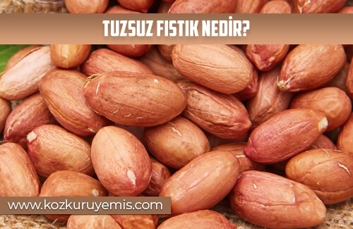 Tuzsuz Fıstık Nedir