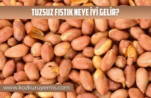 Tuzsuz Fıstık Neye İyi Gelir